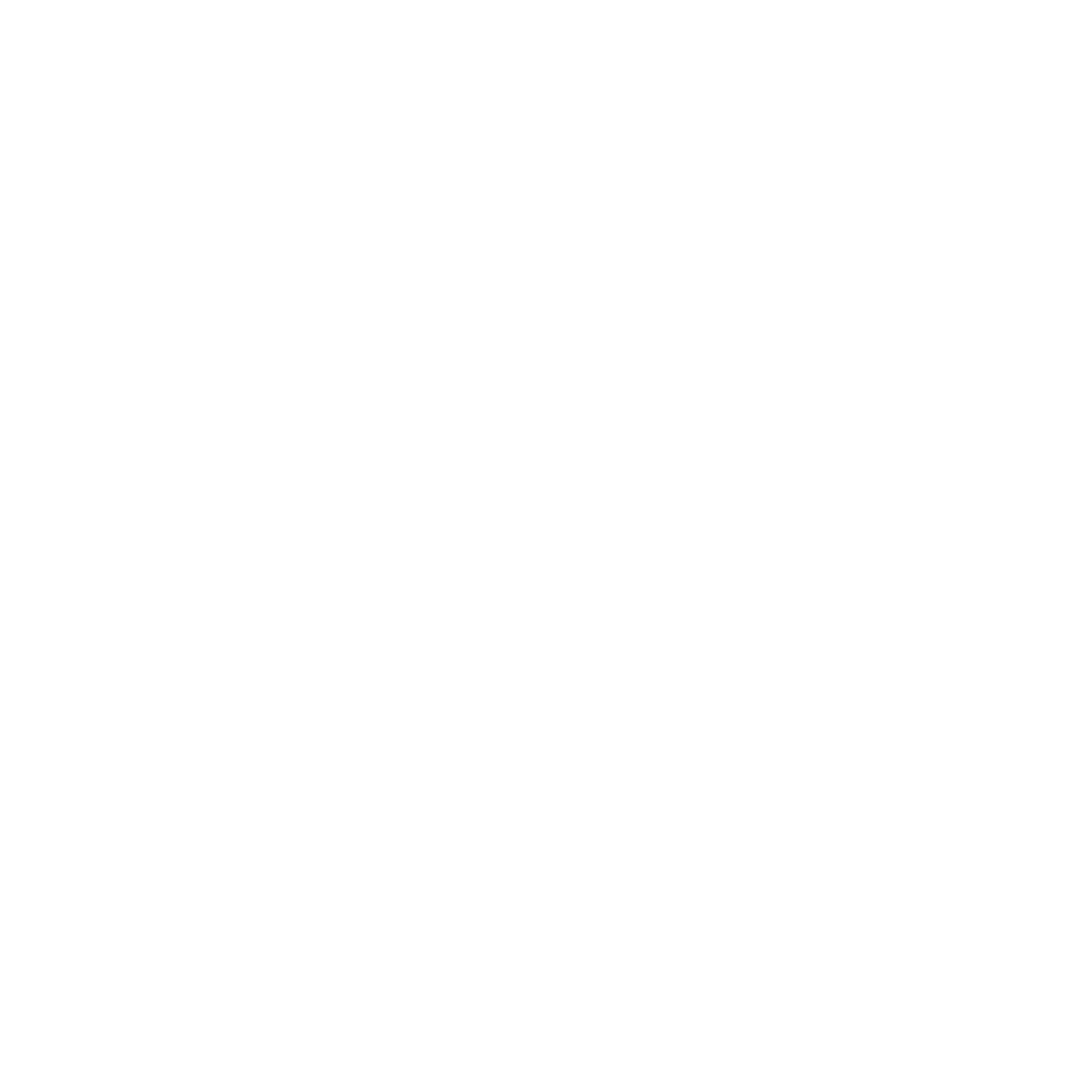 consulting services