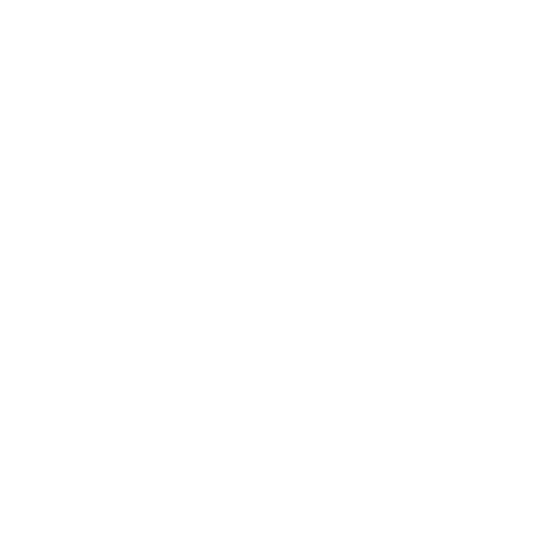 travel consulting